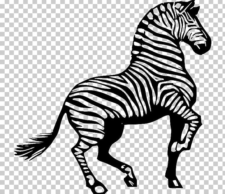 Horse Miscellaneous Mammal PNG, Clipart, Animal Figure, Black, Black And White, Document, Download Free PNG Download