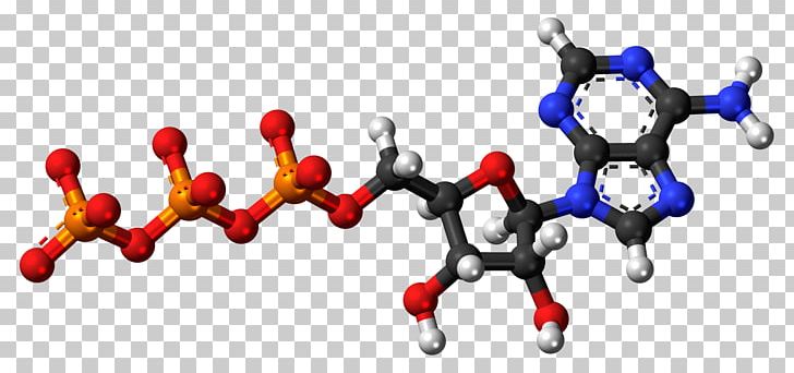 Adenosine Diphosphate Adenosine Monophosphate Adenine Adenosine Triphosphate PNG, Clipart, Adenine, Adenosine, Adenosine Diphosphate, Adenosine Monophosphate, Adenosine Triphosphate Free PNG Download