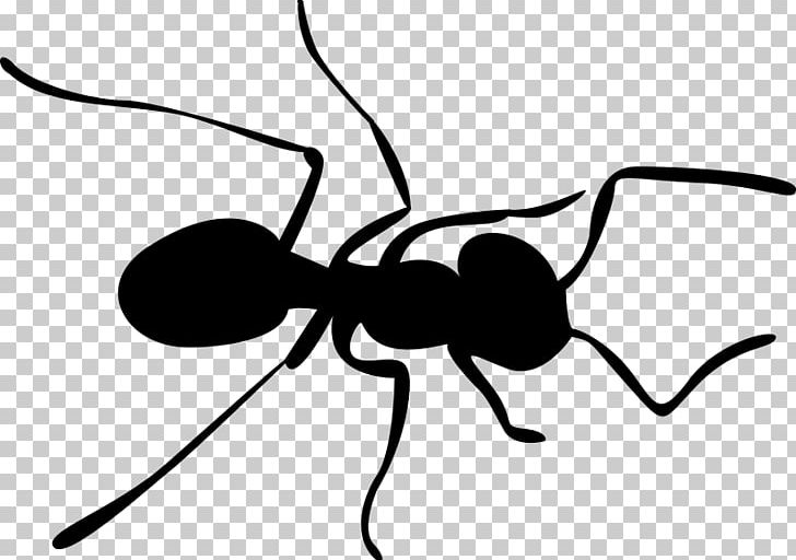 Ant Insect Bee PNG, Clipart, Animals, Ant, Ants, Arthropod, Artwork Free PNG Download