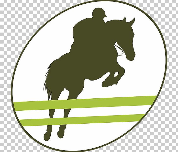 Horse Racing Equestrian Gallop Show Jumping PNG, Clipart, Animals, Area, Bridle, English Riding, Grass Free PNG Download