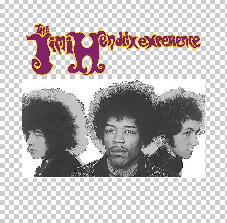 are you experienced the jimi hendrix experience