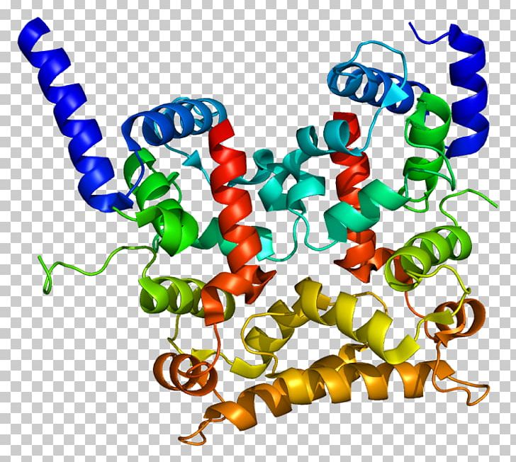 Calcineurin B Homologous Protein 1 Gene EF Hand PNG, Clipart, Animal Figure, Area, Artwork, Body Jewelry, Boron Free PNG Download
