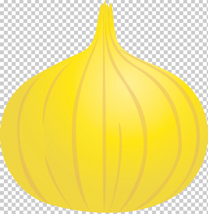 Leaf Squash Yellow Fruit Plants PNG, Clipart, Biology, Fruit, Leaf, Onion, Paint Free PNG Download