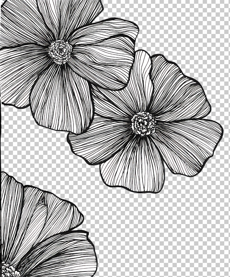 Floral Design PNG, Clipart, Black And White, Cut Flowers, Flora, Floral Design, Flower Free PNG Download