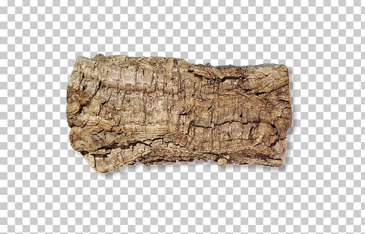 Bark Beslist.nl Aquarium Driftwood Terarij PNG, Clipart, Aquarium, Artikel, Bark, Beslistnl, Biotope Free PNG Download