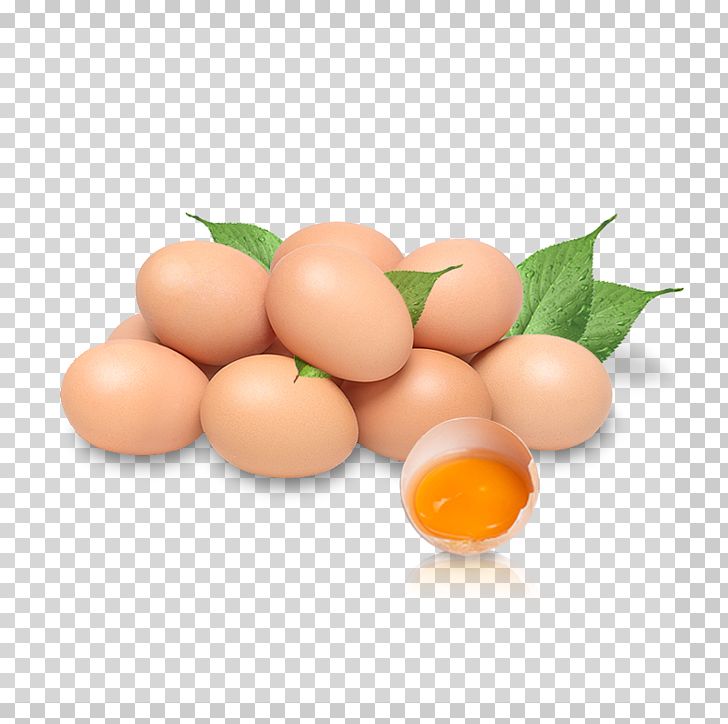 Chicken Egg Chicken Egg Nutrition PNG, Clipart, Broken Egg, Chicken, Chicken Egg, Easter Egg, Easter Eggs Free PNG Download