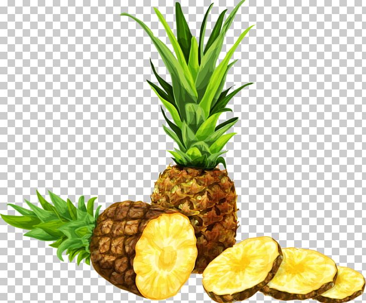 Juice Cocktail Pineapple Jus Dananas PNG, Clipart, Acid, Ananas, Bromeliaceae, Cartoon Pineapple, Cocktail Free PNG Download