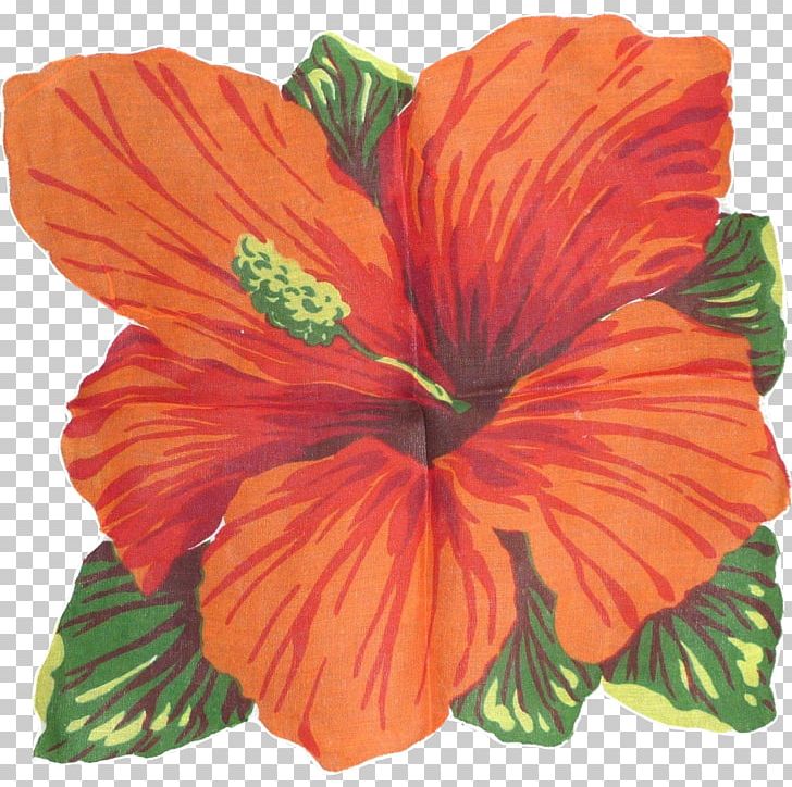 Mallows Hibiscus Flowering Plant PNG, Clipart, Annual Plant, Family, Flower, Flowering Plant, Hibiscus Free PNG Download