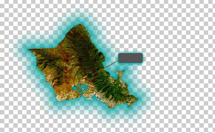Water Quality On The Island Of Oahu PNG, Clipart, Hawaii, Island, Map, Oahu, Organism Free PNG Download