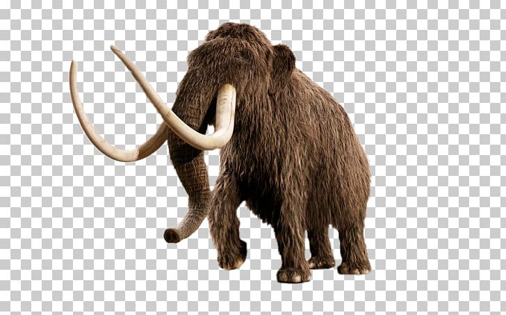Woolly Mammoth Beringia Elephant Yuka Ice Age PNG, Clipart, African Elephant, American Mastodon, Animal, Animal Figure, Animals Free PNG Download