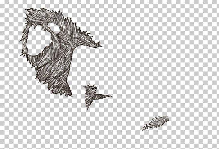 Lion Mane Horse Line Art Sketch PNG, Clipart, Animals, Artwork, Beak, Beard, Bird Free PNG Download