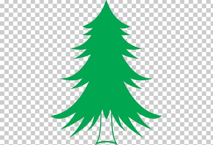 Spruce Pine Abies Alba Christmas Tree PNG, Clipart, Abies Alba, Branch, Christmas Decoration, Christmas Ornament, Christmas Tree Free PNG Download