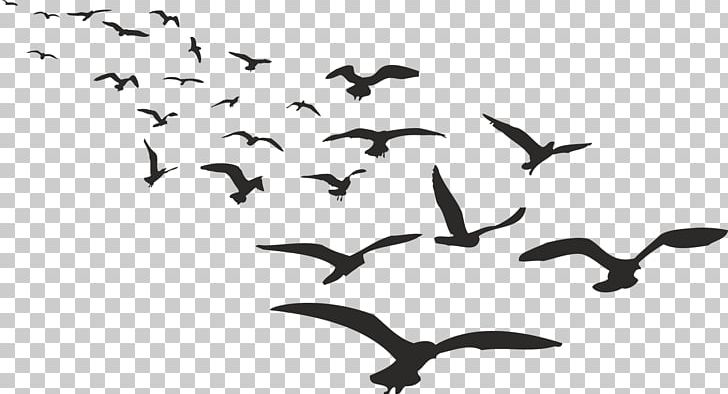 Batman Bird Joker Flock Animal PNG, Clipart, Animal Migration, Animals, Beak, Bird Migration, Black And White Free PNG Download