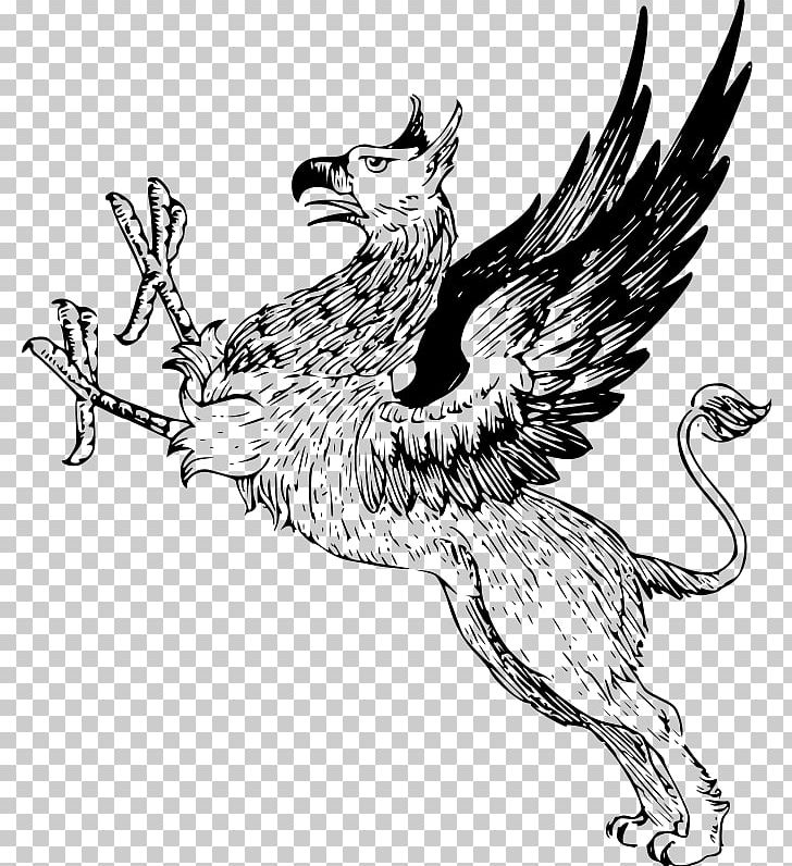 Griffin Legendary Creature PNG, Clipart, Art, Bird, Carnivoran, Cat Like Mammal, Chicken Free PNG Download