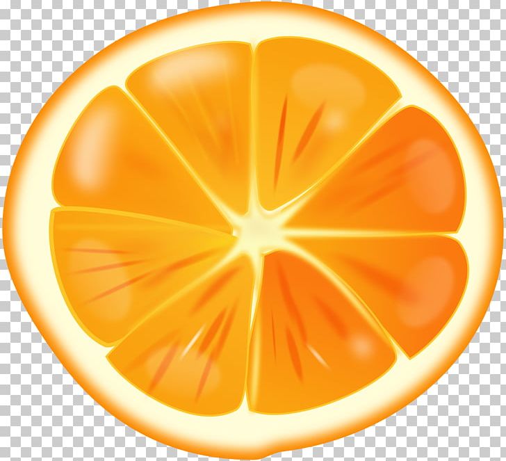 Orange PNG, Clipart, Blog, Circle, Citric Acid, Citrus, Computer Icons Free PNG Download