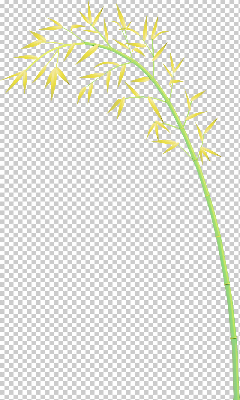 Plant Plant Stem Grass Leaf Grass Family PNG, Clipart, Bamboo, Flower, Grass, Grass Family, Leaf Free PNG Download