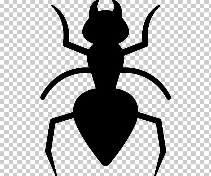 Ant Beetle Pest Control Cockroach PNG, Clipart, Animals, Ant, Artwork, Beetle, Black And White Free PNG Download