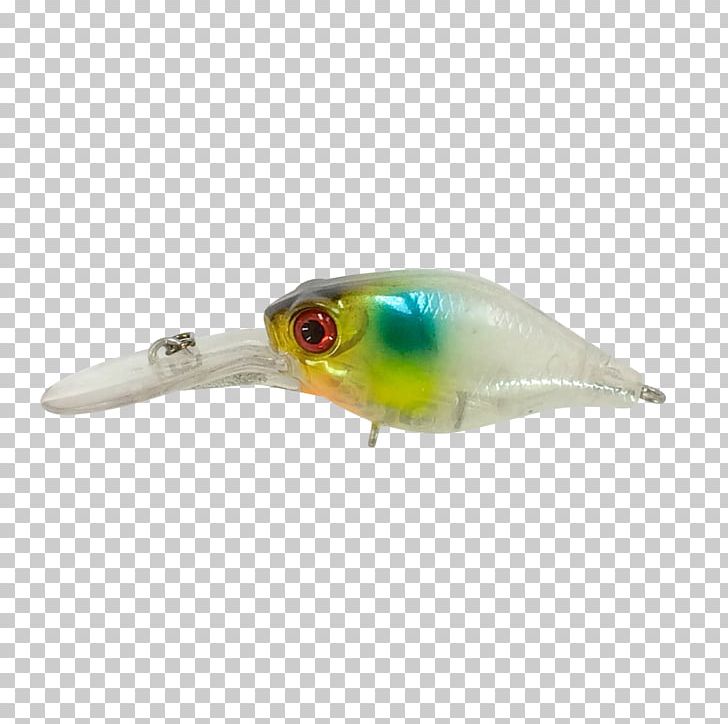 Fishing Baits & Lures Beak Feather PNG, Clipart, Bait, Beak, Feather, Fishing, Fishing Bait Free PNG Download