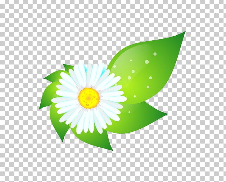 Green Flower Computer File PNG, Clipart, Color, Computer, Computer Wallpaper, Daisy, Daisy Family Free PNG Download