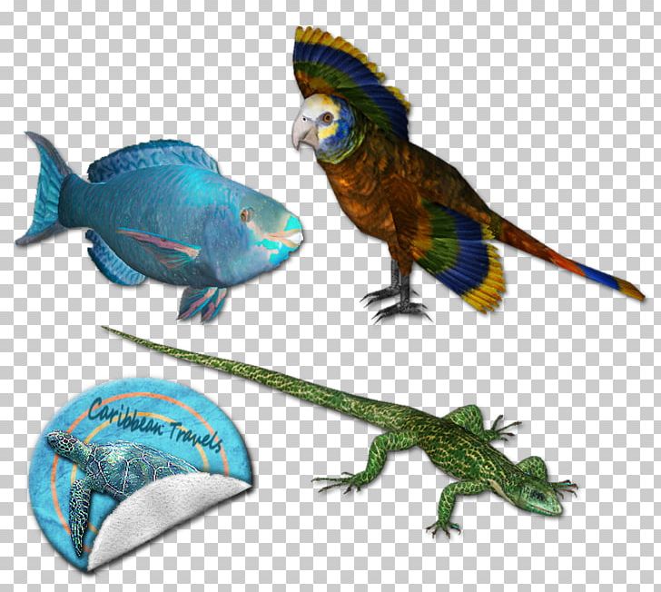Macaw Parakeet Beak Feather Pet PNG, Clipart, Animal, Animal Figure, Animals, Beak, Bird Free PNG Download