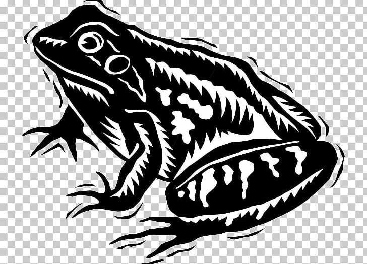 Tree Frog Black And White PNG, Clipart, Amphibian, Animal, Animals, Art, Artwork Free PNG Download