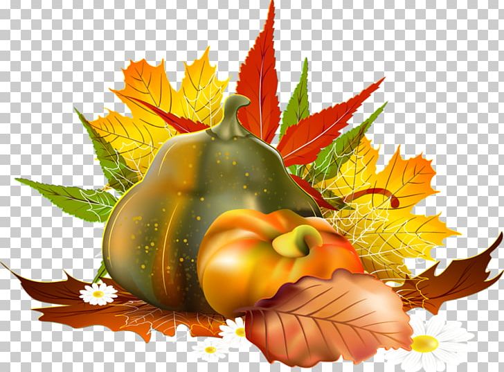 Autumn PNG, Clipart, Animation, Auglis, Autumn, Cucurbita, Download Free PNG Download