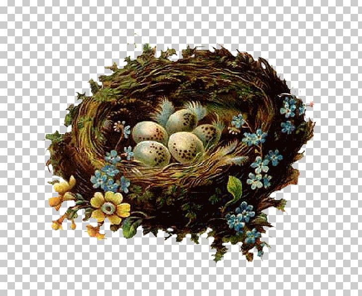 Easter PNG, Clipart, Animals, Ant Nest, Bird Nest, Bird Nest Vector, Birds Nest Free PNG Download