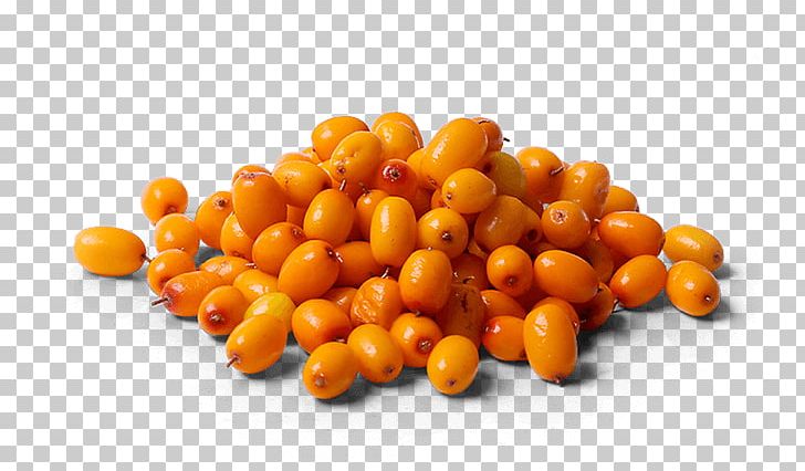 Sea Buckthorns Sea Buckthorn Oil Omega-7 Fatty Acid Food PNG, Clipart, Bean, Buckthorn, Commodity, Essential Fatty Acid, Fat Free PNG Download