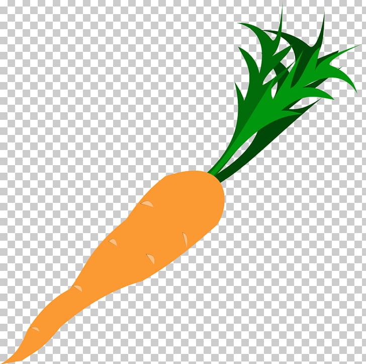 Baby Carrot Vegetable PNG, Clipart, Arracacia Xanthorrhiza, Baby Carrot, Carrot, Chili Pepper Clipart, Drawing Free PNG Download