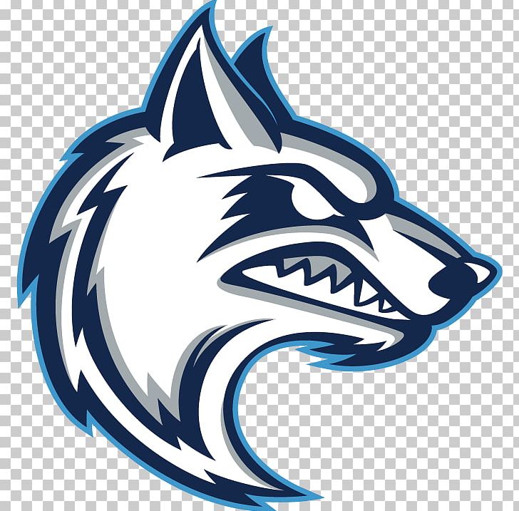 Cerro Coso Community College West Hills College-Coalinga Coyote Cuyamaca College California State University PNG, Clipart, Basketball, Box Score, College, Fictional Character, Fish Free PNG Download