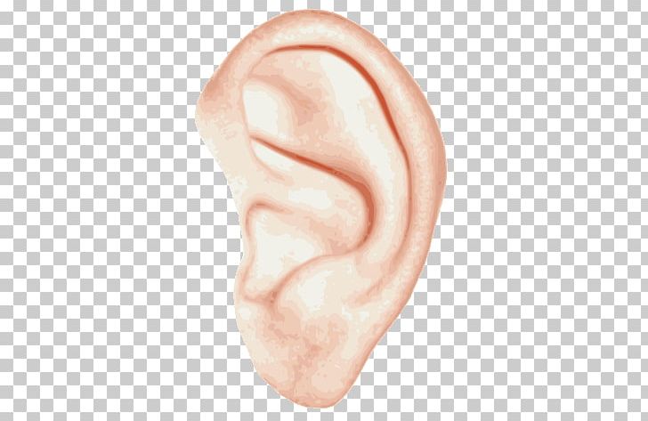 Single Ear PNG, Clipart, Ears, People Free PNG Download