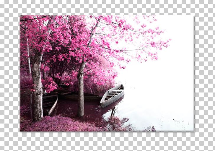 Canvas Print Photography Printing Art PNG, Clipart, Art, Blossom, Branch, Canvas, Canvas Print Free PNG Download