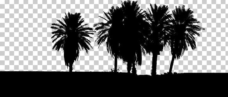 Computer Icons Tree PNG, Clipart, Arecales, Black And White, Borassus Flabellifer, Computer Icons, Date Palm Free PNG Download
