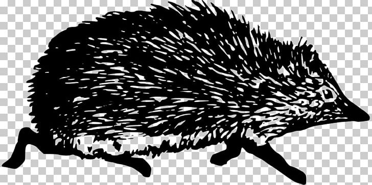 European Hedgehog Computer Icons Domesticated Hedgehog PNG, Clipart, Black And White, Computer Icons, Domesticated Hedgehog, Download, Echidna Free PNG Download