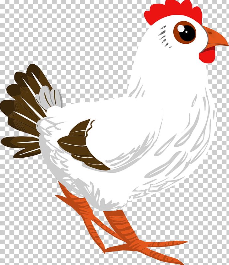 Cochin Chicken Hen Rooster Poultry PNG, Clipart, Android, Art, Beak, Bird, Branch Free PNG Download