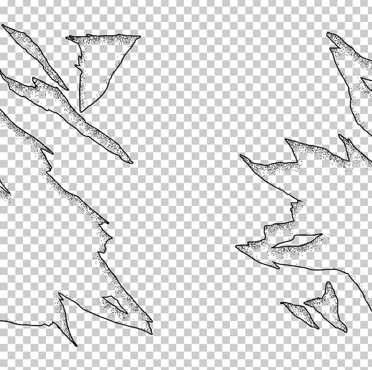 Drawing Line Art Leaf Sketch PNG, Clipart, Angle, Area, Artwork, Beak, Black And White Free PNG Download