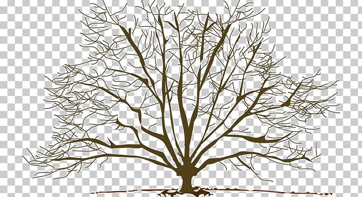 Tree Branch Autumn PNG, Clipart, Autumn, Black And White, Branch, Drawing, Flora Free PNG Download