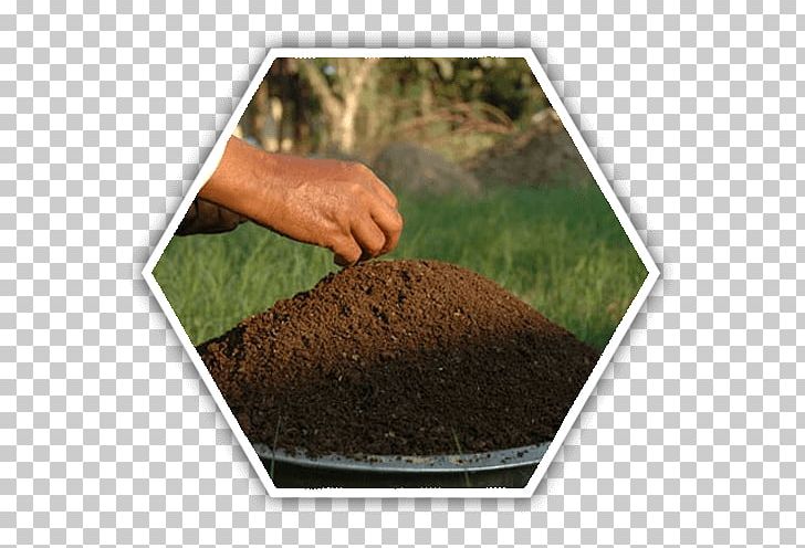Vermicompost Soil Green Manure Fertilisers PNG, Clipart, Agriculture, Biochar, Compost, Cover Crop, Crop Free PNG Download