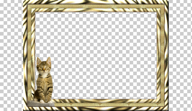 Picture Frame PNG, Clipart, Cat, Interior Design, Picture Frame, Rectangle, Small To Mediumsized Cats Free PNG Download
