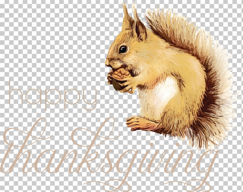 Squirrels Chipmunks Cartoon Animation Tamias PNG, Clipart, Animation, Cartoon, Chipmunks, Happy Thanksgiving, Paint Free PNG Download