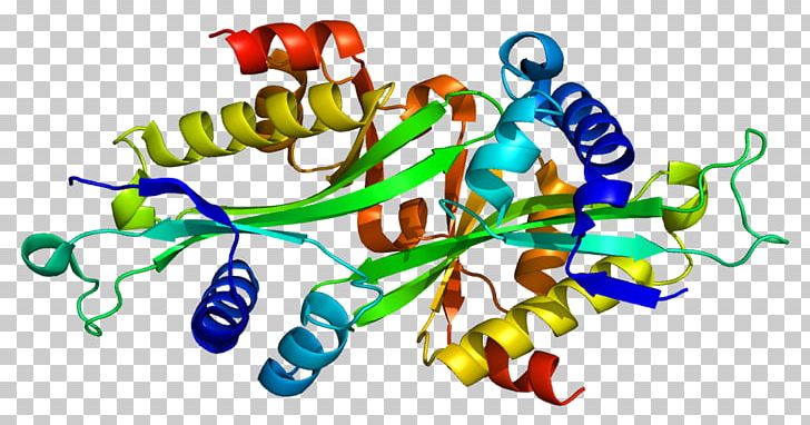 Acetyltransferase Protein SAT1 Gene Polyamine-modulated Factor 1 PNG, Clipart, Acetyltransferase, Amino Acid, Area, Artwork, Creatine Kinase Free PNG Download
