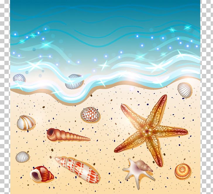 beach illustration wallpaper