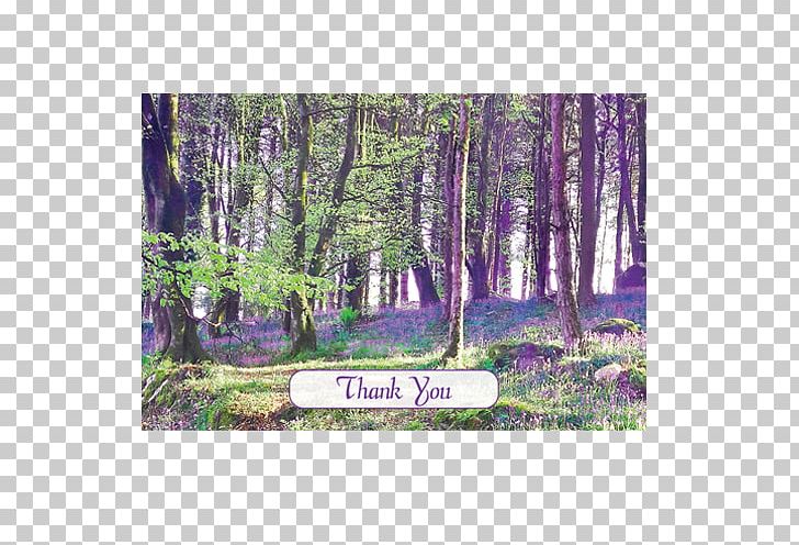 Snowdrops In The Shade Common Bluebell Wallet Union Wood Printing PNG, Clipart, Bayou, Bead, Biome, Bluebells, Branch Free PNG Download