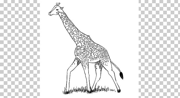 The Giraffe That Walked To Paris Drawing Northern Giraffe Line Art Pencil PNG, Clipart, Animal, Animal Figure, Artwork, Black And White, Drawing Free PNG Download