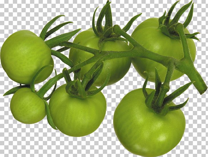 Tomato Tomatillo Food Vegetable Potato PNG, Clipart, Black Nightshade, Bush Tomato, Cyan, Food, Fruit Free PNG Download
