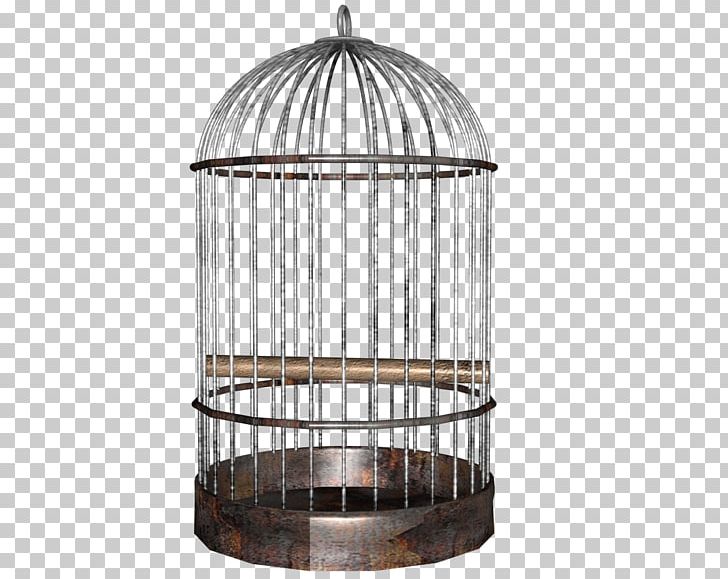 Birdcage Parrot PNG, Clipart, Art, Aviary, Bird, Birdcage, Cage Free PNG Download