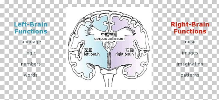 Brain Technology Font PNG, Clipart, Area, Brain, Diagram, Human Body, Joint Free PNG Download