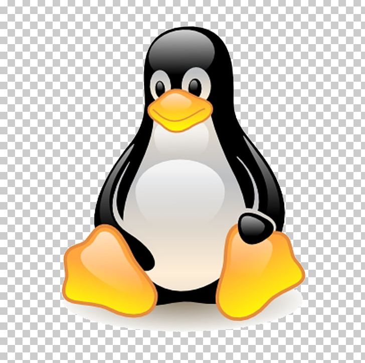 Linux Fedora Unix Operating Systems PNG, Clipart, Beak, Bird, Computer Icons, Computer Software, Device Mapper Free PNG Download