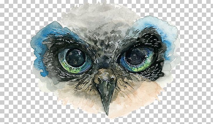 Owl Eye Drawing Watercolor Painting PNG, Clipart, Art, Beak, Big Eyes, Bird Of Prey, Drawing Free PNG Download