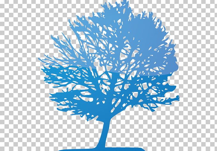 Tree Lutherse Kerk Refrigerator Magnets Art PNG, Clipart, Apple, Area, Art, Black And White, Blue Free PNG Download